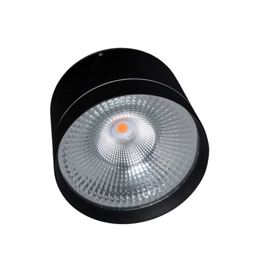 Ip65 Cylinder 20w 30w Surface Mounted Led Downlight Outdoor Ceiling Lamp - Outdoor Surface Mounted Ceiling Lights