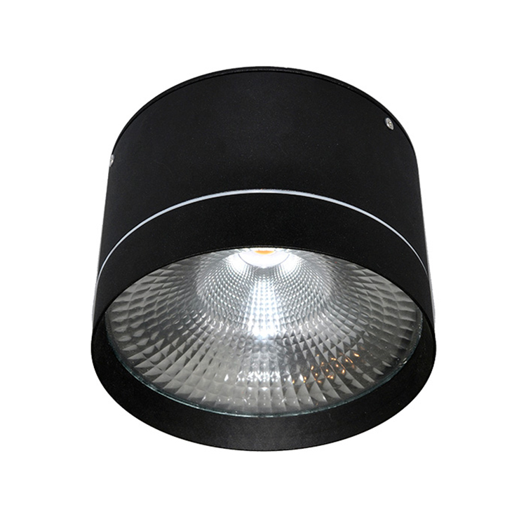 Ip65 Cylinder 20w 30w Surface Mounted, Outdoor Ceiling Cylinder Lights