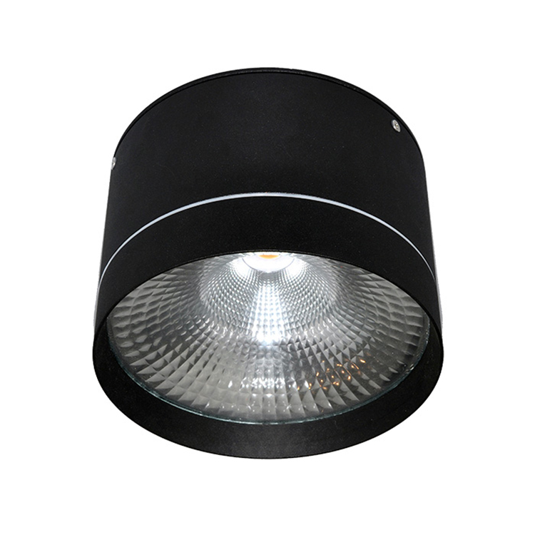 Ip65 Cylinder 20w 30w Surface Mounted Led Downlight Outdoor Ceiling Lamp Ip65 Cylinder 20w 30w Surface Mounted, Outdoor Ceiling Cylinder Lights