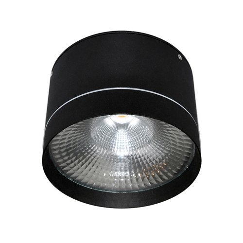IP65 Cylinder 20W 30W Surface Mounted Led Downlight Outdoor Led Ceiling